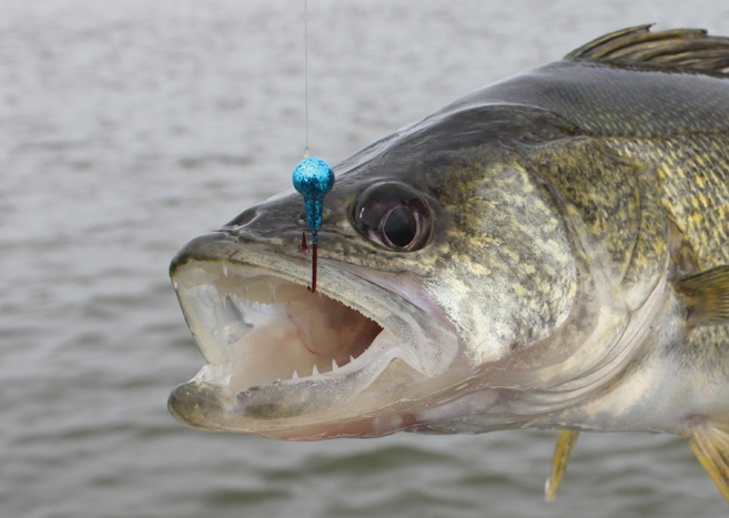 Fishing report for Kansas, Missouri, KC lakes for 5/6/20