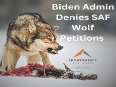 Roadmap To Successfully Remove Wolves from the ESA Tossed Aside by FWS