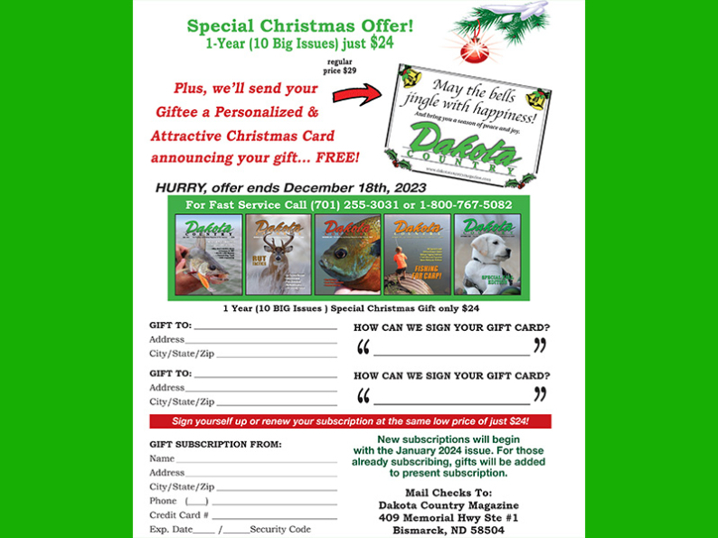 Christmas Gift Subscriptions Specially Priced